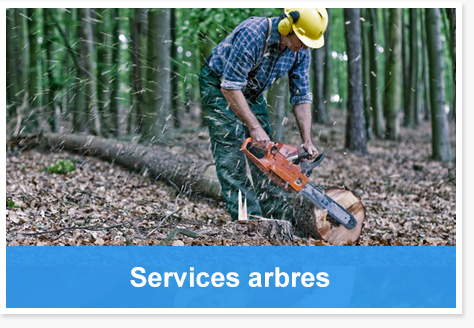 services-arbres